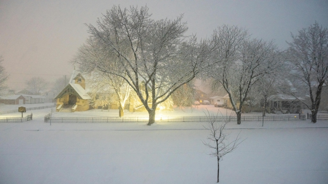 大雪天  灯光 大树 8K壁纸